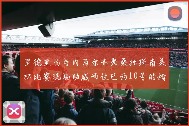 罗德里戈与内马尔齐聚桑托斯南美杯比赛现场助威两位巴西10号的精彩时刻