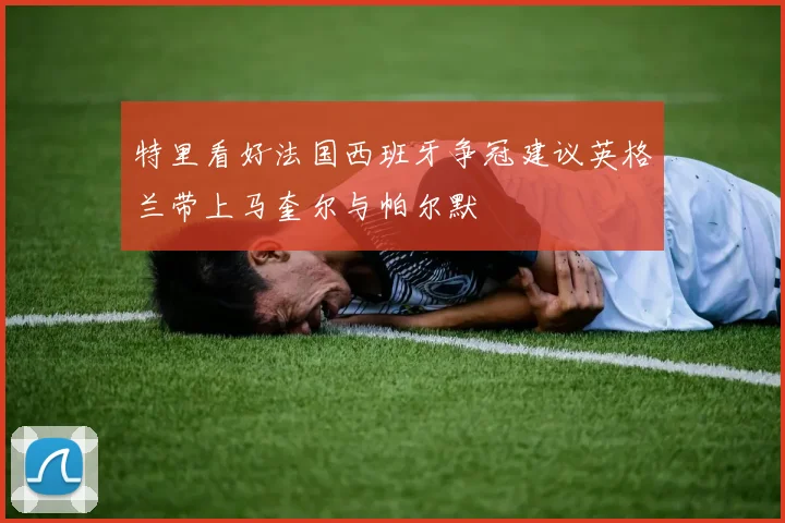 特里看好法国西班牙争冠建议英格兰带上马奎尔与帕尔默